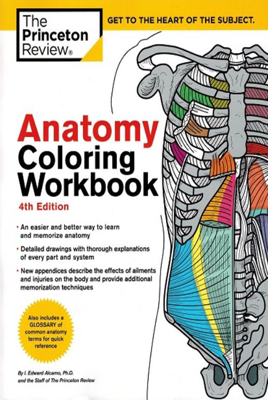 Anatomy Coloring Workbook Book & Test Mailed Scrubs Continuing