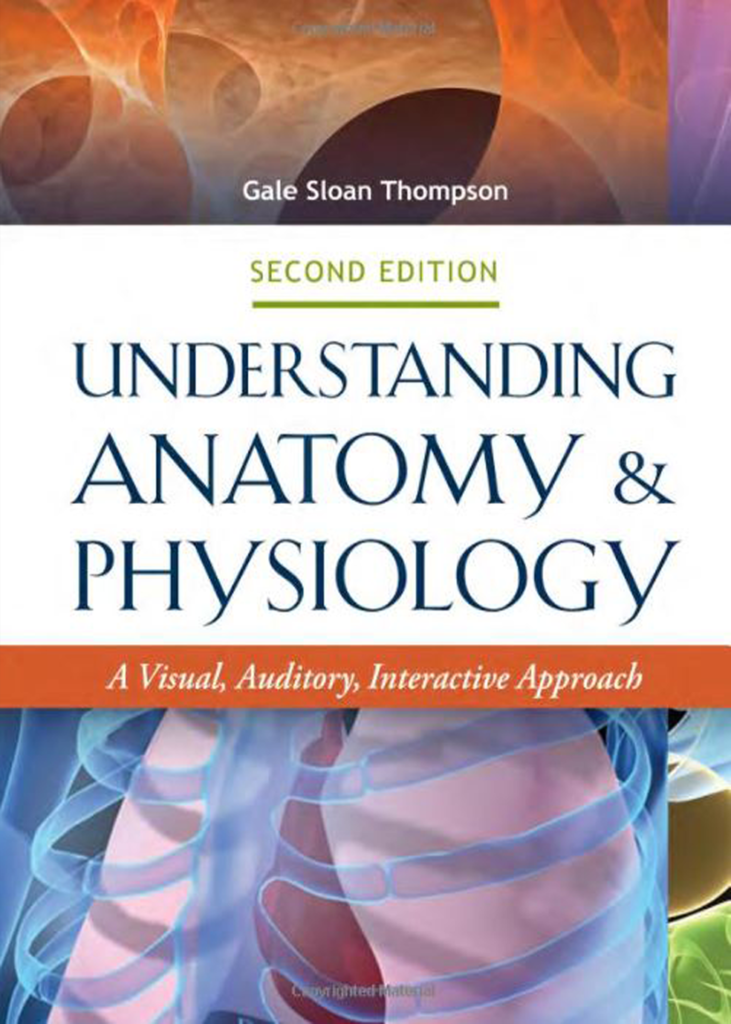 Understanding Anatomy Physiology