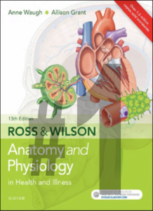 Anatomy & Physiology Radiology CE Credits